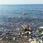 Calamona