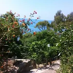 Calamona