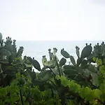 Calamona