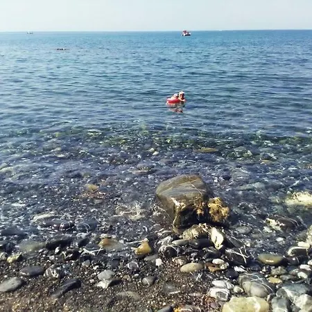 Calamona