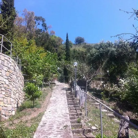 Calamona