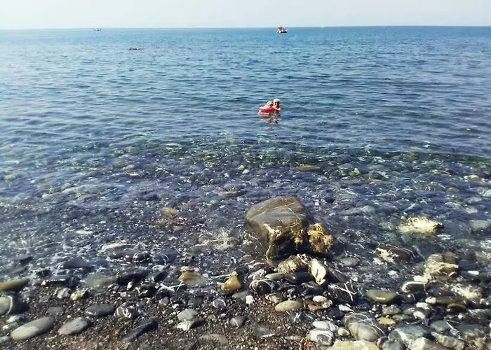 Calamona